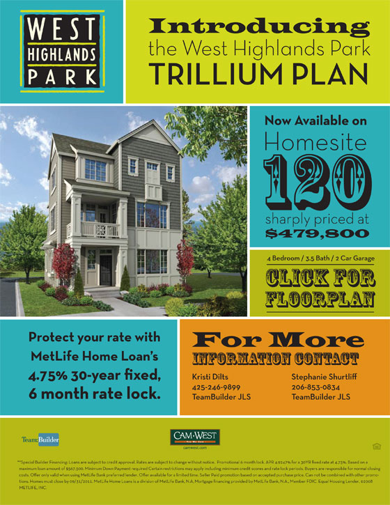 Trillium Plan Advertisement Design