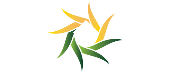 Sun Country Real Estate Logo