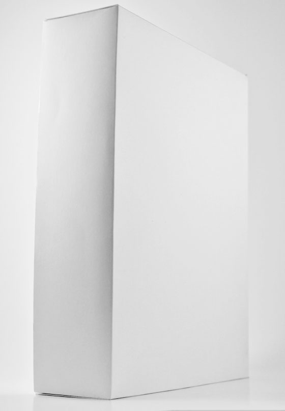 Holiday iPad Thank You Packaging Outside