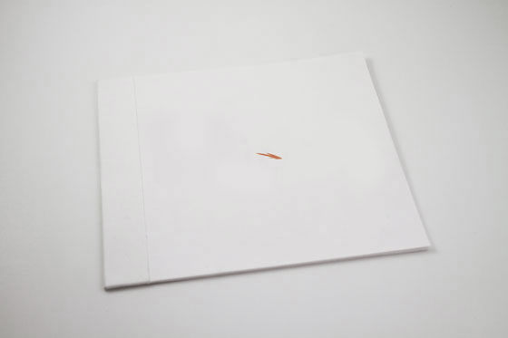 Holiday iPad Thank You booklet cover